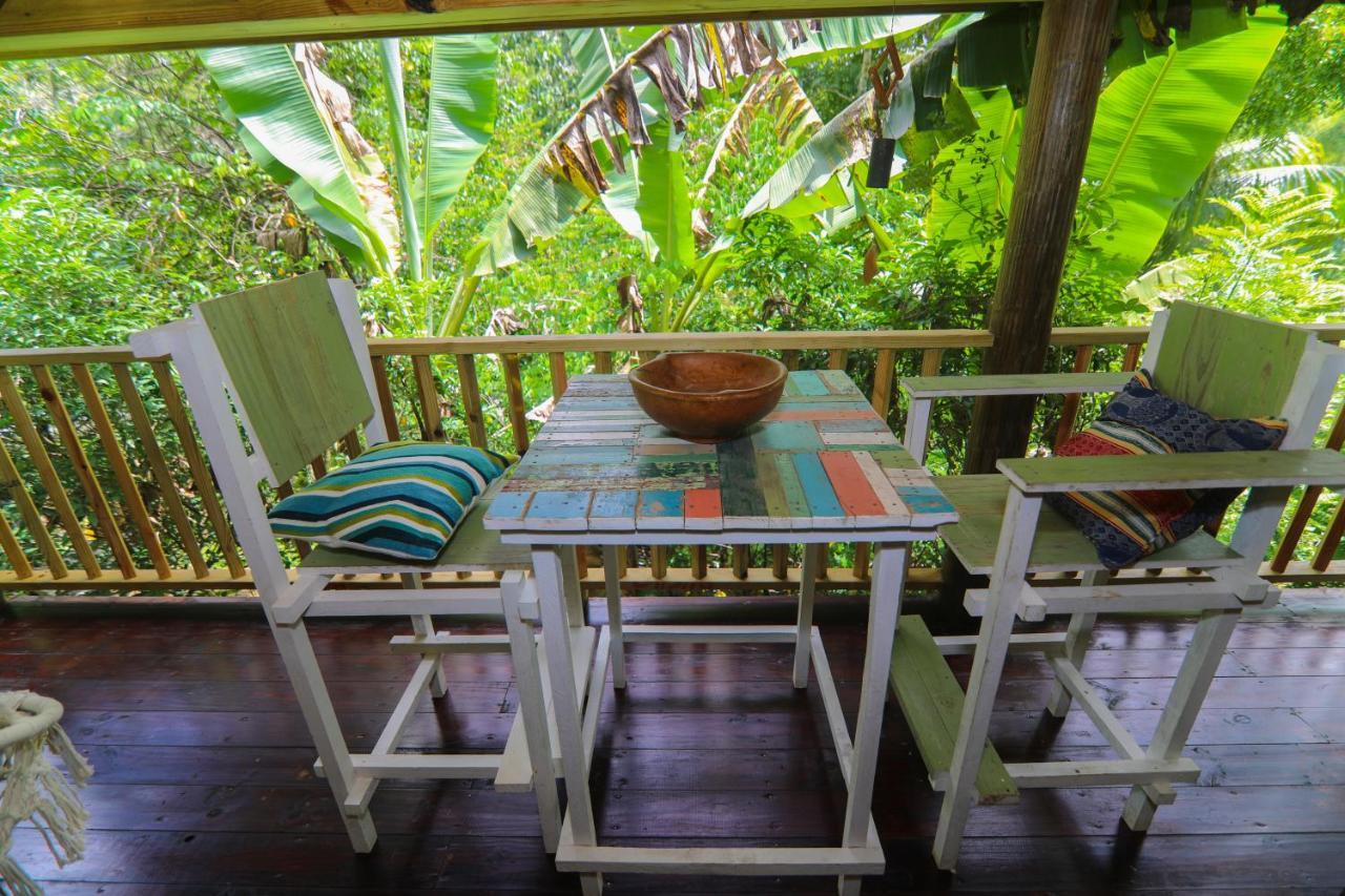 Вілла Zimbali Culinary Retreats Негрил Екстер'єр фото