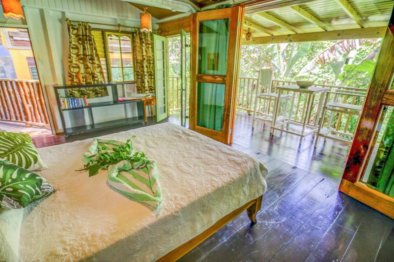 Вілла Zimbali Culinary Retreats Негрил Екстер'єр фото