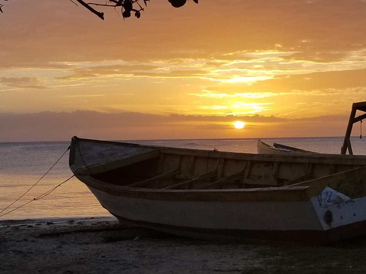 Вілла Zimbali Culinary Retreats Негрил Екстер'єр фото